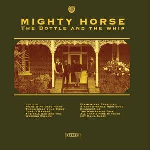 The Bottle And The Whip