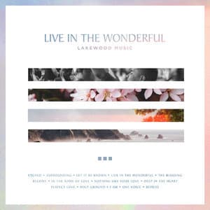 Live In The Wonderful