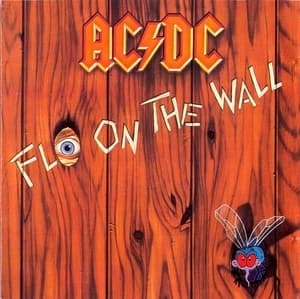 Fly On The Wall