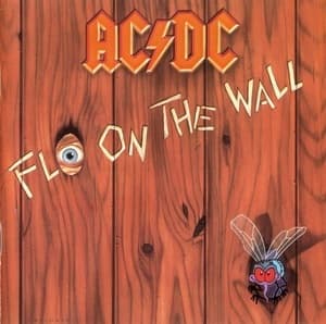 Fly On The Wall