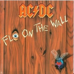 Fly On The Wall