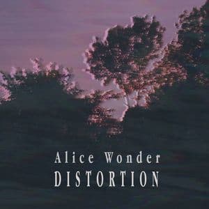 Distortion