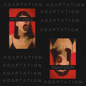 Adaptation