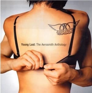 Young Lust: The Aerosmith Anthology