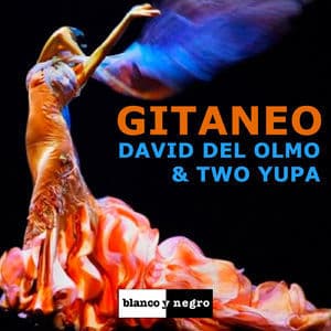 Gitaneo