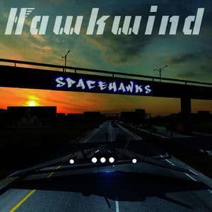 Spacehawks