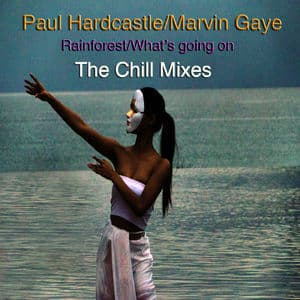 Rainforest_what's Going On (The Chill Mixes)