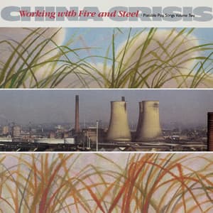 Working With Fire And Steel (Possible Pop Songs Volume Two)