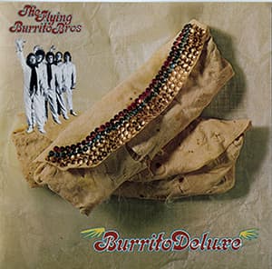 Burrito Deluxe
