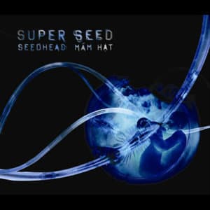 Seedhead