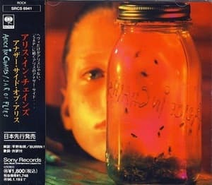 Jar Of Flies