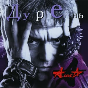 Дурень