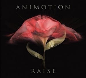 Raise