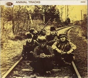 Animal Tracks