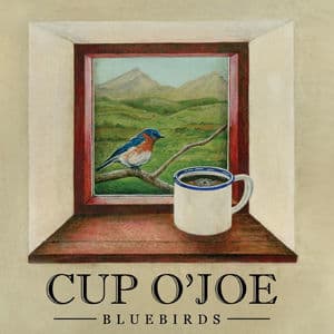 Bluebirds