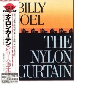The Nylon Curtain