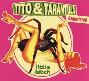 Little Bitch