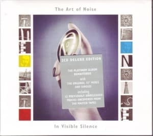 In Visible Silence