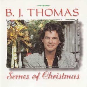 Scenes Of Christmas