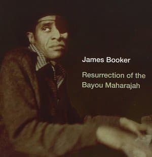 Resurrection Of The Bayou Maharajah