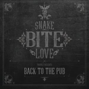 Back To The Pub