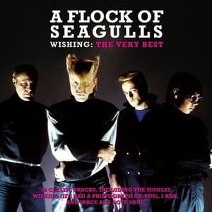 Wishing: The Very Best Of (2CD) 