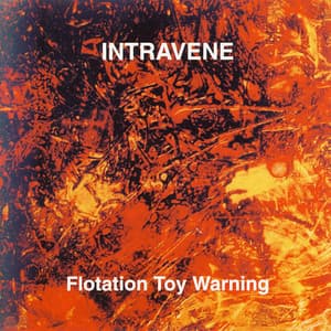 Flotation Toy Warning