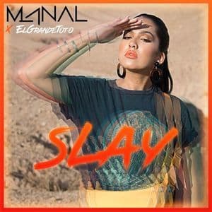 Slay [CDS]