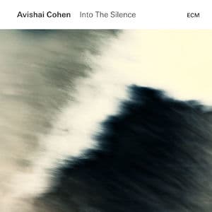 Into The Silence [Hi-Res]