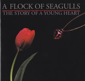 The Story Of A Young Heart