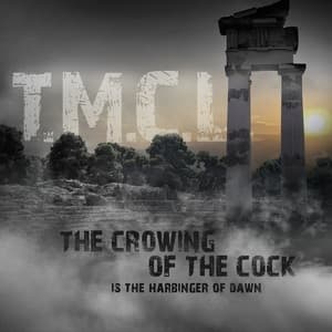 The Crowing Of The Cock Is The Harbinger Of Dawn