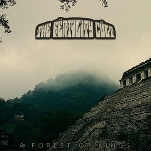 A Forest Of Kings