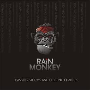 Passing Storms And Fleeting Chances