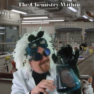 The Chemistry Within