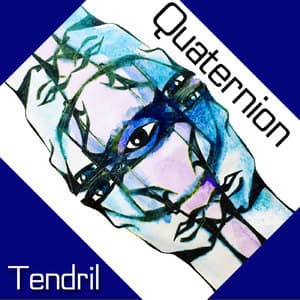 Quaternion