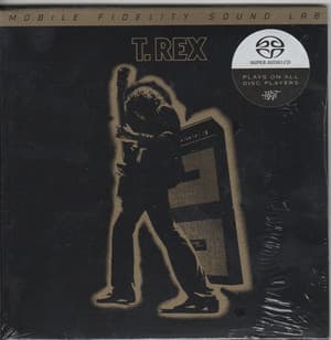 Electric Warrior