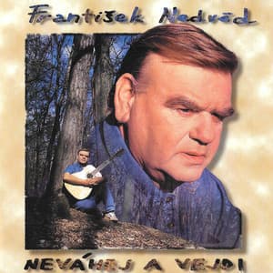 Neváhej A Vejdi