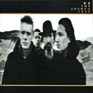 The Joshua Tree