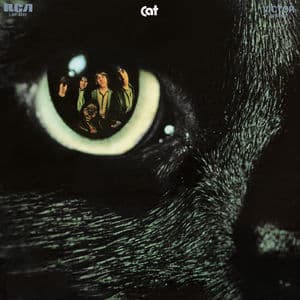 Cat (2020)