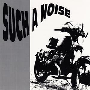 Such A Noise