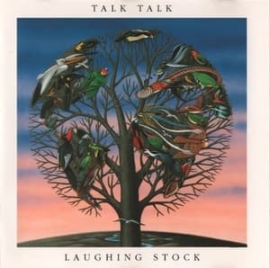 Laughing Stock
