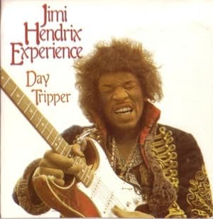 Day Tripper
