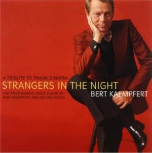 Strangers In The Night And Other Famous Songs (A Tribute To Frank Sinatra)