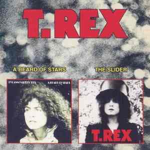 A Beard Of Stars (1970) & The Slider (1972)