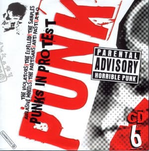 Punk Original Masters [10 CD BoxSet] (CD06) - Punks In Protest