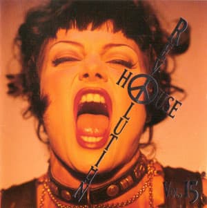 Super Club Groovin' - House Revolution Vol. 15