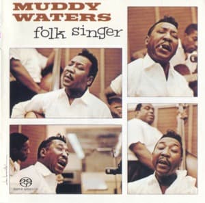 Folk Singer