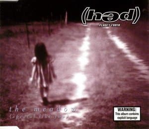 The Meadow (Special Like You)