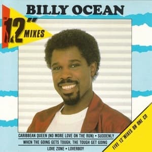The 12'' Mixes