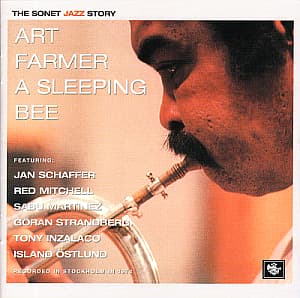 A Sleeping Bee